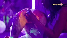 neon college party turns wild latinas screaming orgasms tight pussies fucked?