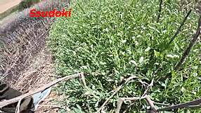 tengo sexo con mi cuñado en el campo publico me encanta el riesgo follando asi de salvaje