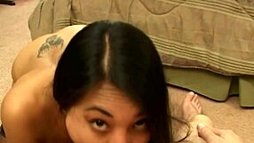 brunette beauty delivers expert blowjob skills