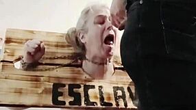 Bound French Slave In Pillory Endures Uro Masturbation Torment On Halloween