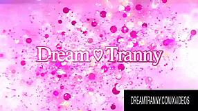 i love going down on this dream tranny in steamy compilation