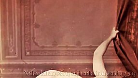 dark lantern shares victorian gentleman's erotic confessions