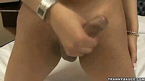 Sexy Latina shemale Honey tugs her throbbing hard cock!