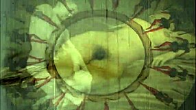 vintage erotic art features antique retro hairy beaver displays