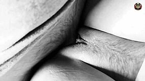 european milf tight shaved pussy closeup fucked to cumshot