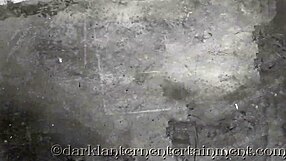 dark lantern shares victorian gentleman's erotic confessions