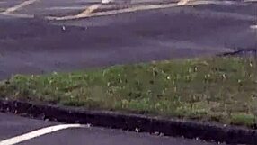 public pissing laughs after restaurant trip