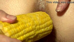 Hairy Pussy Licked Before Corn Fills Her Anal in Kitchen