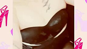i flash my pierced wet pussy through crotchless panties in hot music video