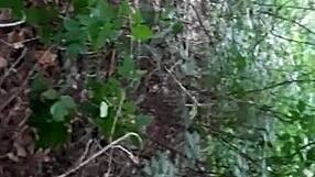 i'm licking her pussy deep in the woods till i explode - lesbian brunette orgasm