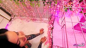 Mag numb the tatted slut gets roughly used and destroyed hard