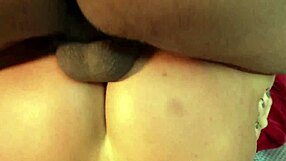 Watch Belinha Baracho's Wild Group Toy Fuck and Dirty Talk with Negro Top - Part 4 on Sheer Red!