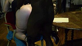 strict boss pov pawg redhead bimbo secretary slurps big black monster cock cheating