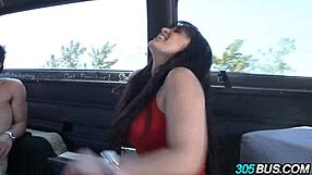 wild sluts blowjob on bus for cash