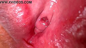 close up amateur japanese wife pussy 336 days post virginity loss