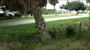 two tanned brunette college girls flash shaved pussies public tampa outdoors