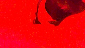obedient sub whore deepthroats cock then swallows cum load 😈🍆💦 blindfolded pov