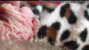 big clit throbs in extreme closeup pussy orgasm waves squirting juicy detailed view