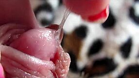 big clit throbs in extreme closeup pussy orgasm waves squirting juicy detailed view