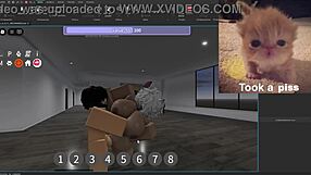 Psc v3.0 condo showcase dm sillyhilariousactivities if buying