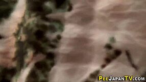 Filmed Asians Pee On Hidden Outdoor Cam