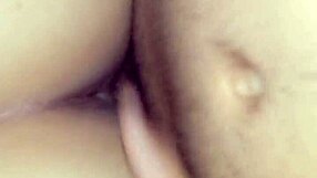 Venezuela en 4 features a latina amateur in hardcore anal action.