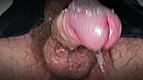 Asmr Male Strokes Hard Cock With Intense Moans