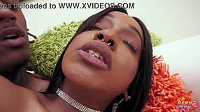 Big tit beauty lily starfire bbc ass fuck