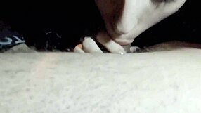 friends night ends in sex