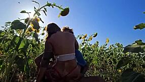 desafio no campo de girassol transando na plantação - damiana brasileira safada pela europa ep6