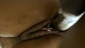 cheating wife with tight pussy stretched by a big dick